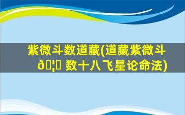 紫微斗数道藏(道藏紫微斗 🦉 数十八飞星论命法)